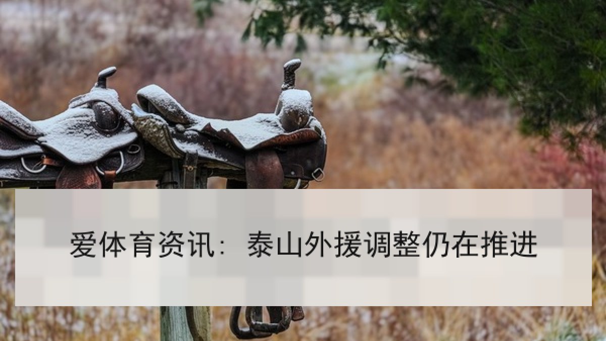 爱体育资讯: 泰山外援调整仍在推进