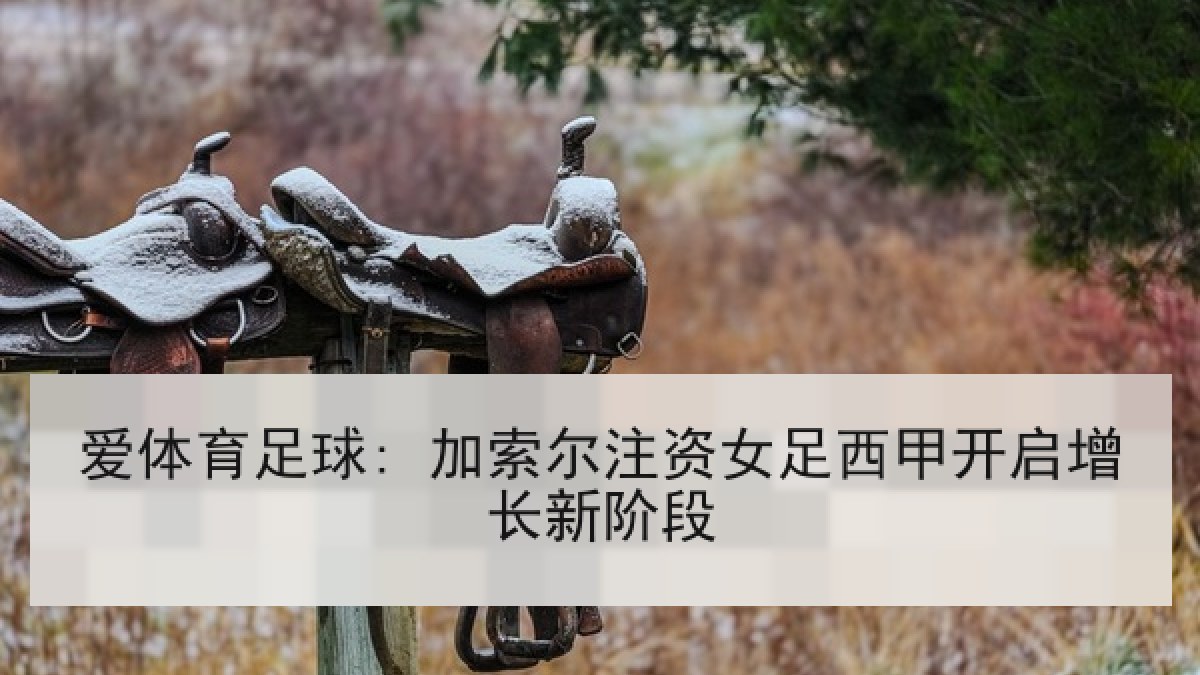 爱体育足球: 加索尔注资女足西甲开启增长新阶段