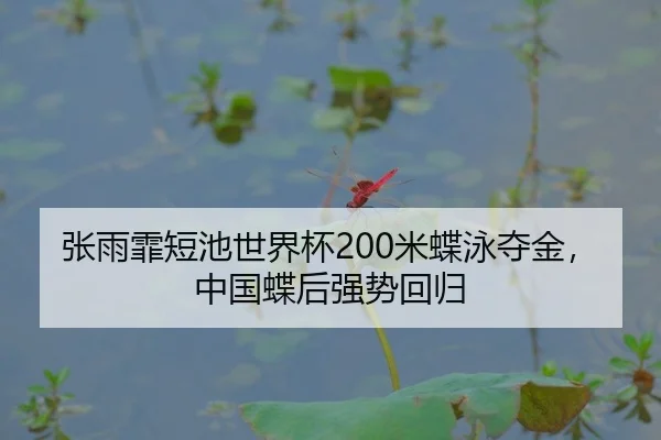 张雨霏短池世界杯200米蝶泳夺金，中国蝶后强势回归