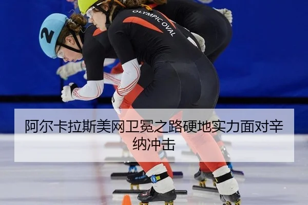 a-er-ka-la-si-mei-wang-wei-mian-zhi-lu-ying-di-shi-li-mian-dui-xin-na-chong-ji-3-138.jpg