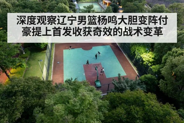深度观察辽宁男篮杨鸣大胆变阵付豪提上首发收获奇效的战术变革